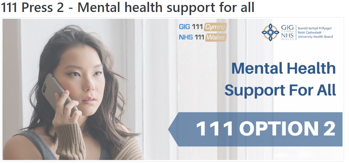 Mental Health 111 Option 2 Service